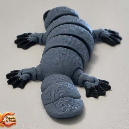 3D Printed Articulating Platypus | Articulating Fidget Toy | Flexi