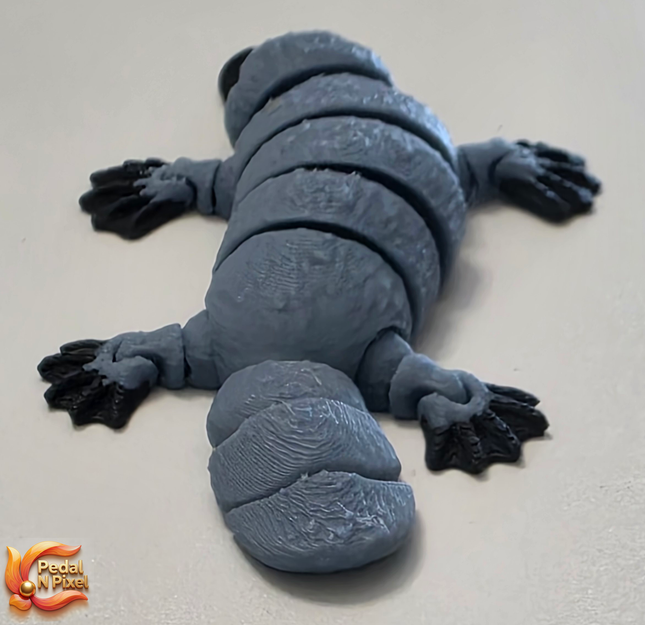 3D Printed Articulating Platypus | Articulating Fidget Toy | Flexi