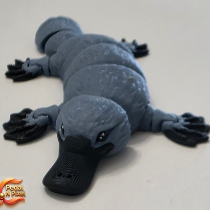 3D Printed Articulating Platypus | Articulating Fidget Toy | Flexi