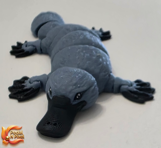 3D Printed Articulating Platypus | Articulating Fidget Toy | Flexi