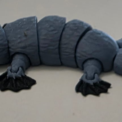 3D Printed Articulating Platypus | Articulating Fidget Toy | Flexi