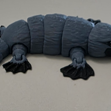 3D Printed Articulating Platypus | Articulating Fidget Toy | Flexi