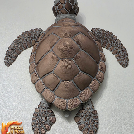 3D Printed Articulating Sea Turtle | Articulating Fidget Toy | Flexi