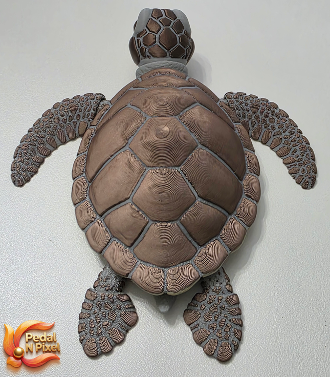 3D Printed Articulating Sea Turtle | Articulating Fidget Toy | Flexi