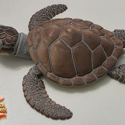 3D Printed Articulating Sea Turtle | Articulating Fidget Toy | Flexi