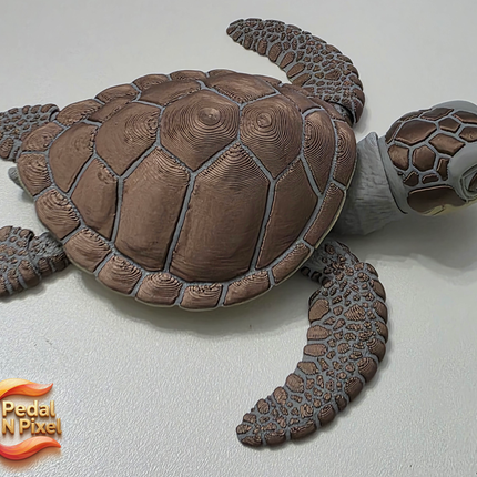 3D Printed Articulating Sea Turtle | Articulating Fidget Toy | Flexi